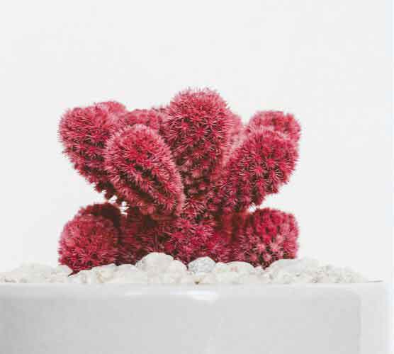 手机版ddos攻击器